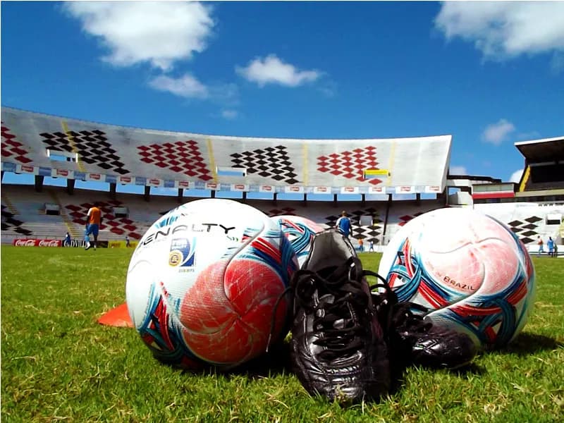 Programação de treinos: 9 a 18 de fevereiro de 2015.