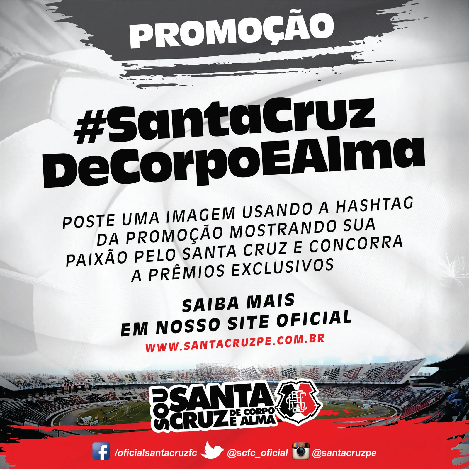 Mostre sua paixão pelo Santa Cruz em uma imagem
